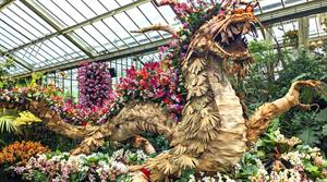 RBG Kew’s orchid festival